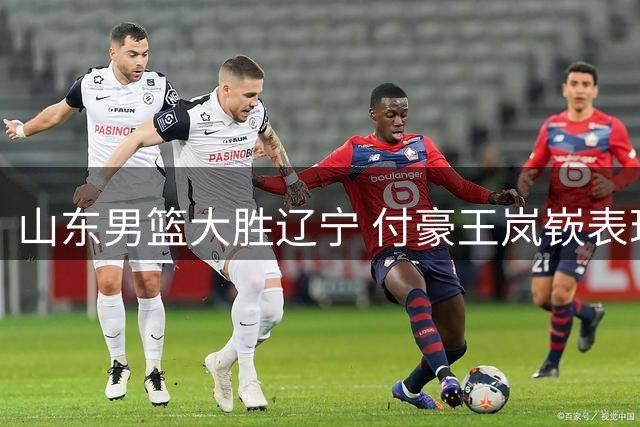 山东男篮大胜辽宁 付豪王岚嵚表现抢眼